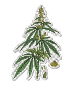 Transparent CSL botanicals sticker #1