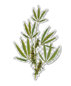 Transparent CSL botanicals sticker #2
