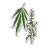 Transparent CSL botanicals sticker #5