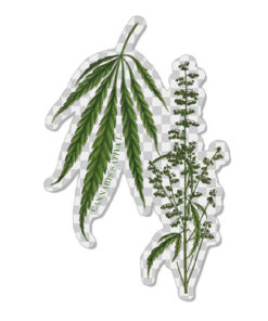 Transparent CSL botanicals sticker #5
