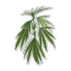 Transparent CSL botanicals sticker #6
