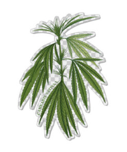 Transparent CSL botanicals sticker #6