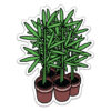 Five Plants Sticker
