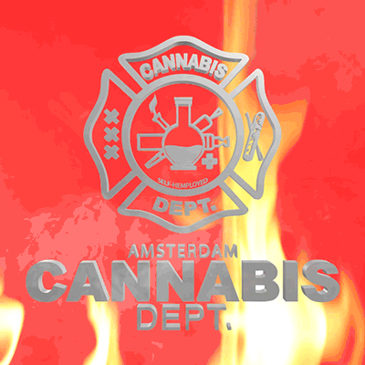 CANNABIS DEPT.